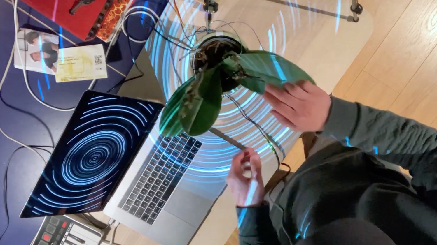 Making Music with Plants